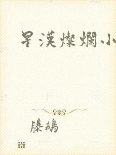 星汉灿烂小说