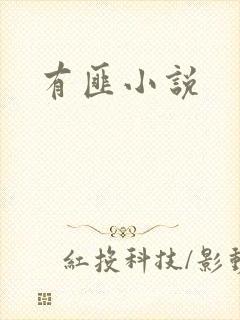 有匪小说