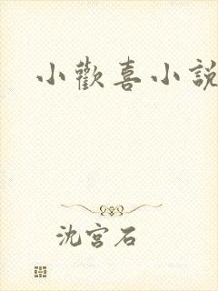 小欢喜小说