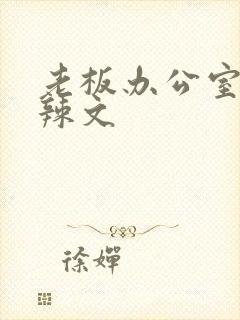 老板办公室系列辣文