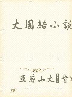 大团结小说下载封面