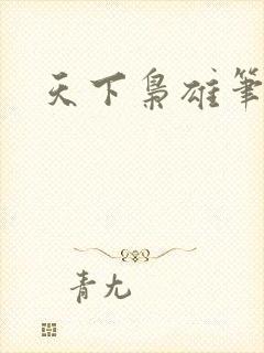 天下枭雄笔趣阁封面