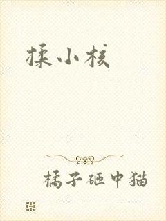 揉小核封面