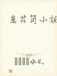 万花筒小说封面