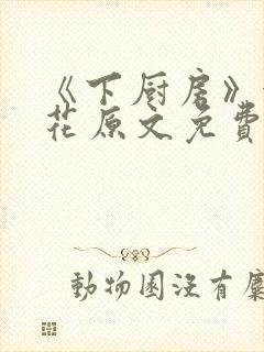 《下厨房》金银花原文免费阅读