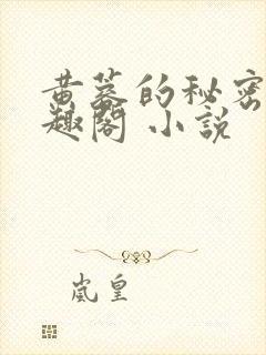 黄蓉的秘密 笔趣阁 小说封面