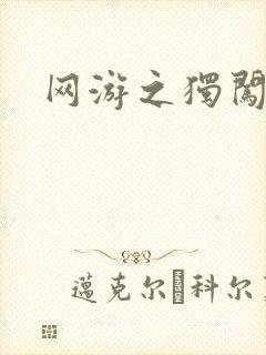 网游之独闯天涯封面