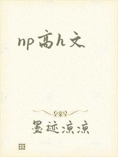 np高h文