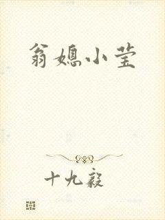 翁媳小莹封面