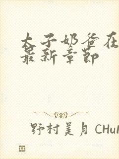 太子奶爸在花都最新章节封面