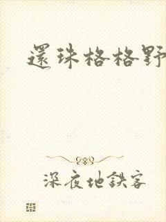 还珠格格野传
