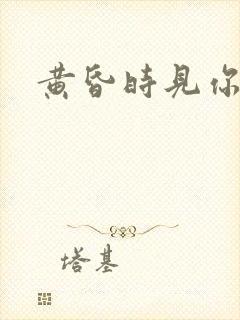 黄昏时见你封面