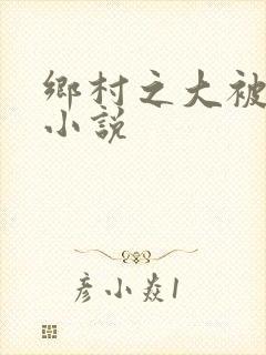 乡村之大被同眠小说