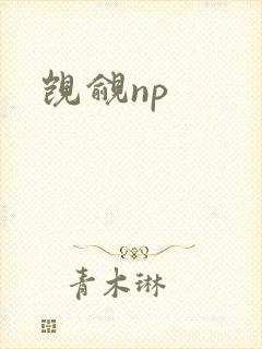 觊觎np