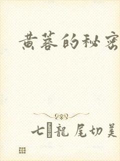 黄蓉的秘密