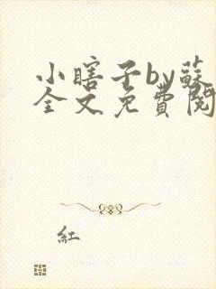 小瞎子by苏软全文免费阅读