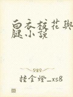 白衣校花与大长腿小说