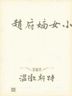 赵府嫡女小说