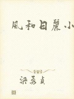 风和日丽小说
