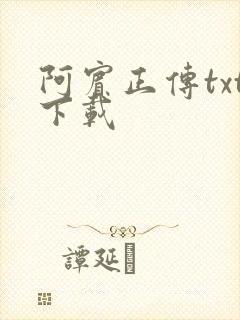 阿宾正传txt下载
