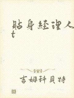 贴身经理人txt