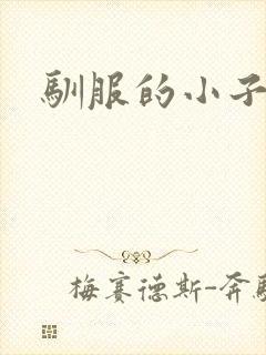 驯服的小子4
