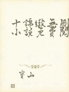 十锦缎无删原著小说免费阅读
