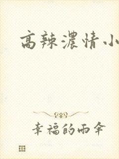 高辣浓情小说封面