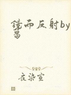 镜面反射by九葛