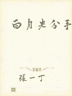 白月光分手日常