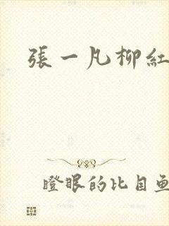 张一凡柳红