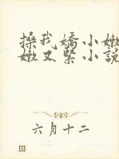 搡我娇小嫩苞又嫩又紧小说