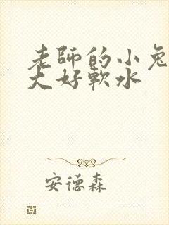 老师的小兔子好大好软水封面