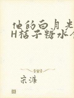 他的白月光HVH桔子糖水全文