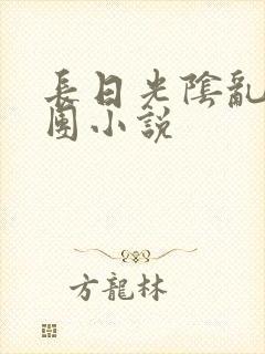 长日光阴乱作一团小说封面