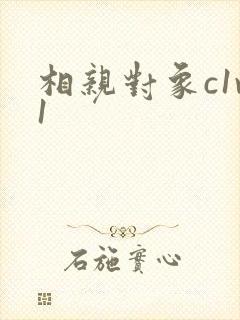 相亲对象c1v1