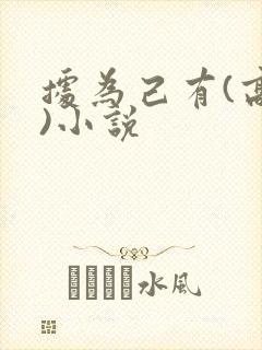 据为己有(高干)小说