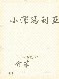 小泽玛利亚作品封面