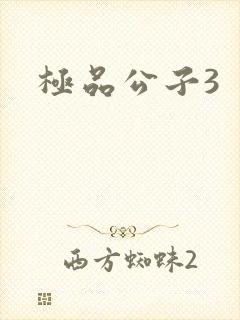 极品公子3
