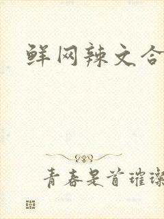 鲜网辣文合集封面