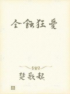 全蚀狂爱封面
