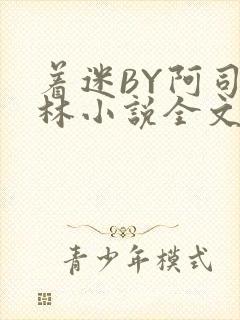 着迷BY阿司匹林小说全文免费阅读
