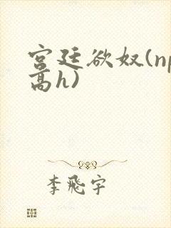 宫廷欲奴(np高h)