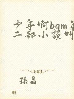 少年啊bgm第二部小说叫什么封面