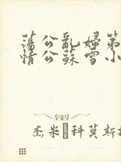 荡公乱妇第1章情公苏雪小说