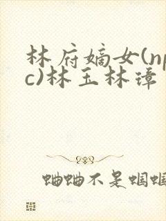林府嫡女(npc)林玉林璋