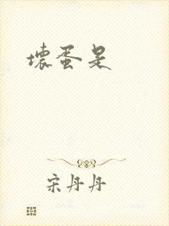 坏蛋是封面