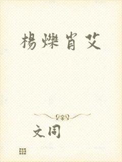 杨烁肖艾