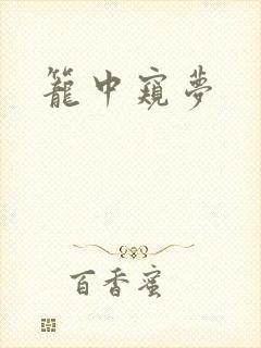 笼中窥梦
