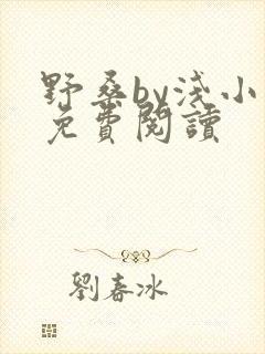 野桑by浅小说免费阅读